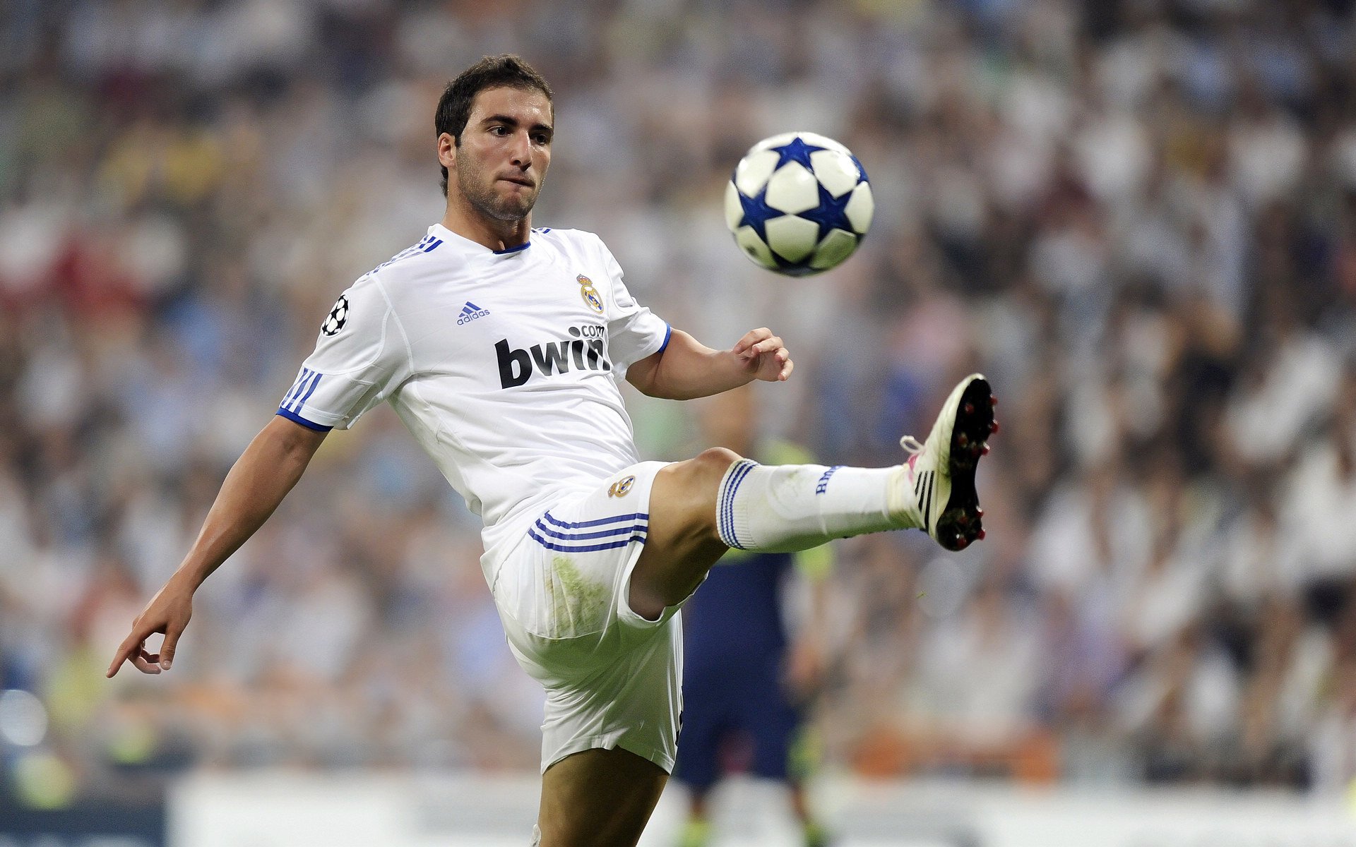 卡迪夫城进攻多样,蓝鸟军团期待胜利,卡迪夫蓝调风格